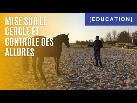 [ Education ] - Mise sur le cercle et transitions