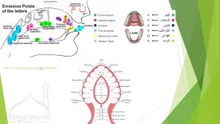 Arabic Letters Makharij with Tajweed Lesson3