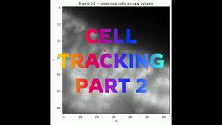 Cell Tracking: how does a model understand cells Cell Representation