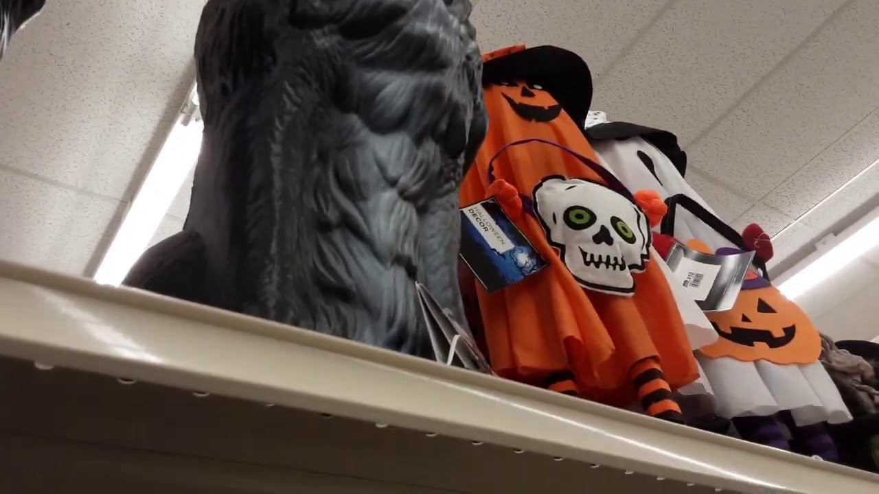 Big lots halloween 2020 YouTube