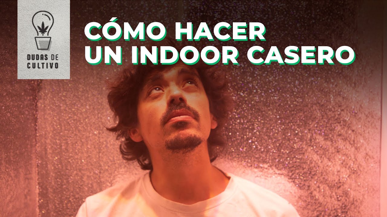 CÓMO CONVERTIR TU ARMARIO EN UNA CARPA DE CULTIVO