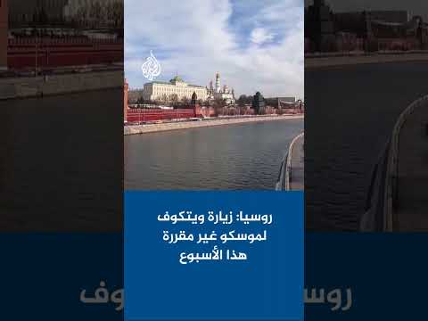 الرئاسة الروسية: زيارة المبعوث الأمريكي الخاص ستيف ويتكوف لموسكو غير مقررة هذا الأسبوع