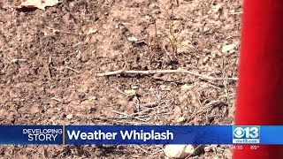 Parts of the world moving from drought to downpours; what's causing the weather whiplash?