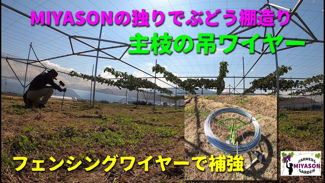2022年】ぶどう棚主枝吊りワイヤーの補強作業 - YouTube