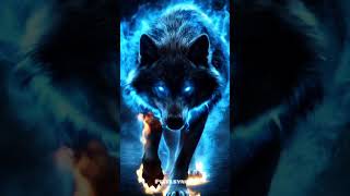 Lobo Caminando En Llamas lobos lobos ia viral animalestiktok