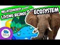 🌍 Relationship Between Living Beings and the Ecosystem | Educational Videos | @HappyLearningENG