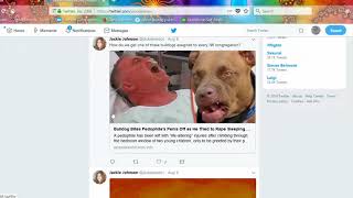 Twitter Basics 101 Activism How-To