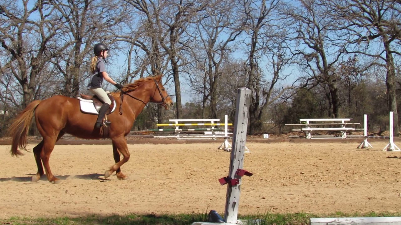 ronin tactics Skylar and Sandy Riding & Jumping Lesson - 2/18/17