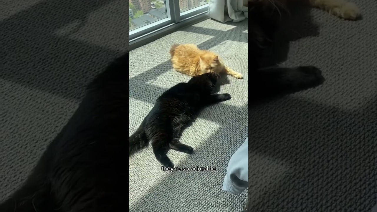 A day in my life living in downtown Minneapolis!