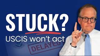 Can I Still Sue If My Immigration Case is Delayed?