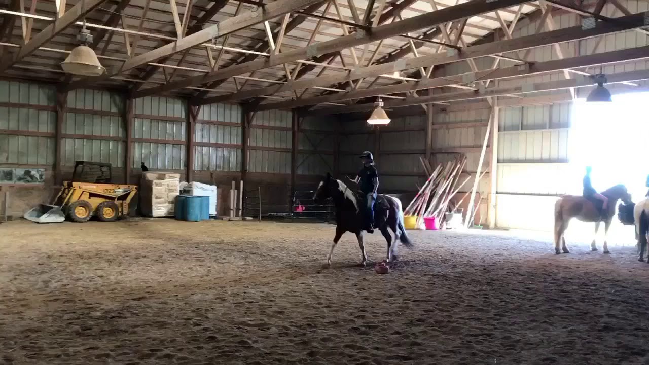 Western Horsemanship