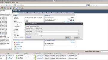 Simplivity Backup