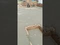 Khattana Construction New Project 10 Marla Bahria Town Please 8 Sector L