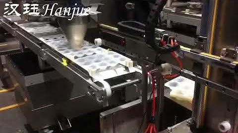 Hanjue Mochi ice cream encrusting machine with arranging machine  osculum type system