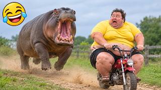 Best Fails of the Week 😂 Funniest Moments Caught on Camera | Try Not to Laugh!