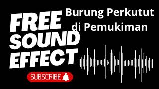 Download Lagu Efek Suara Burung Perkutut di Komplek Perumahan | Perkutut Bird Sound in Suburban Area (No Copyright MP3