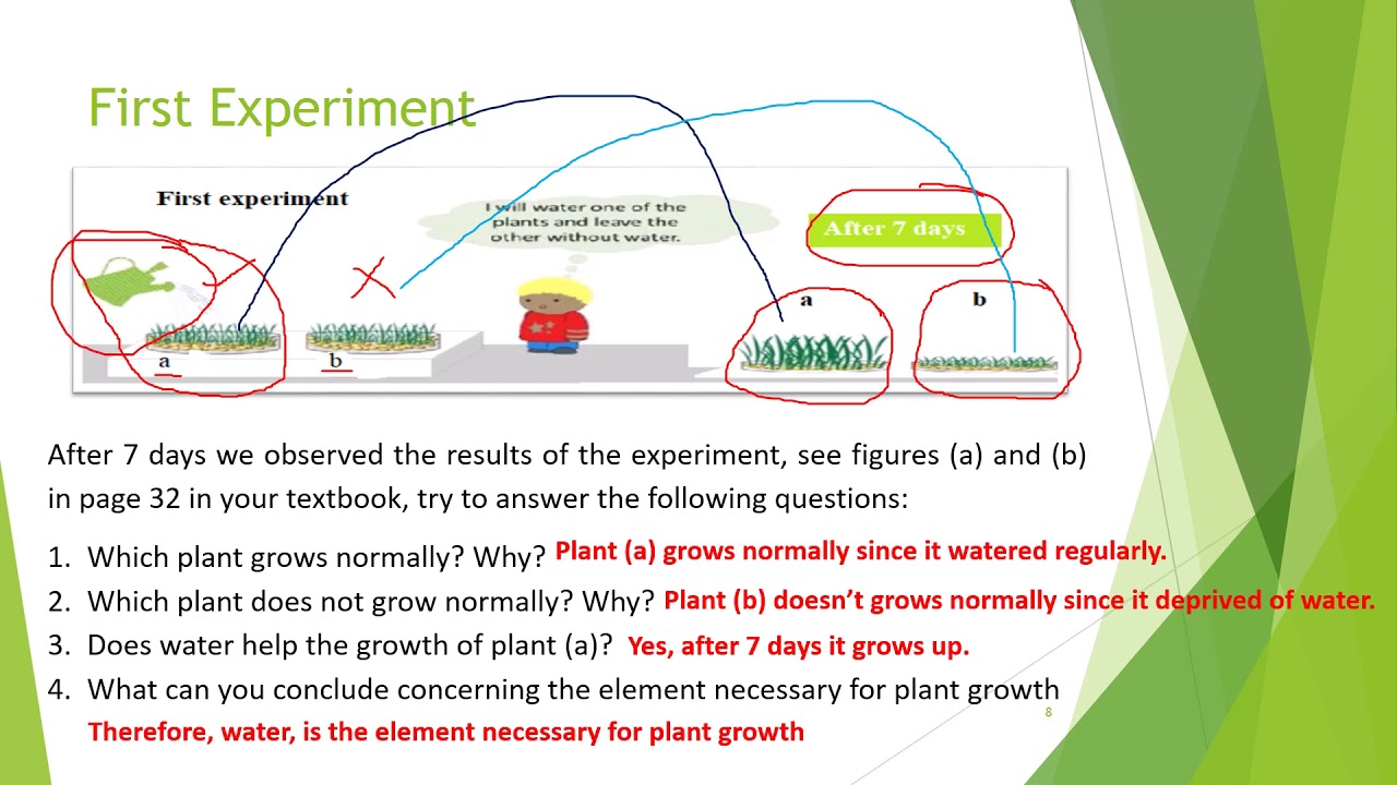 01- Biology G7 - Nutritive Needs of Plants - W01 - SLP - YouTube