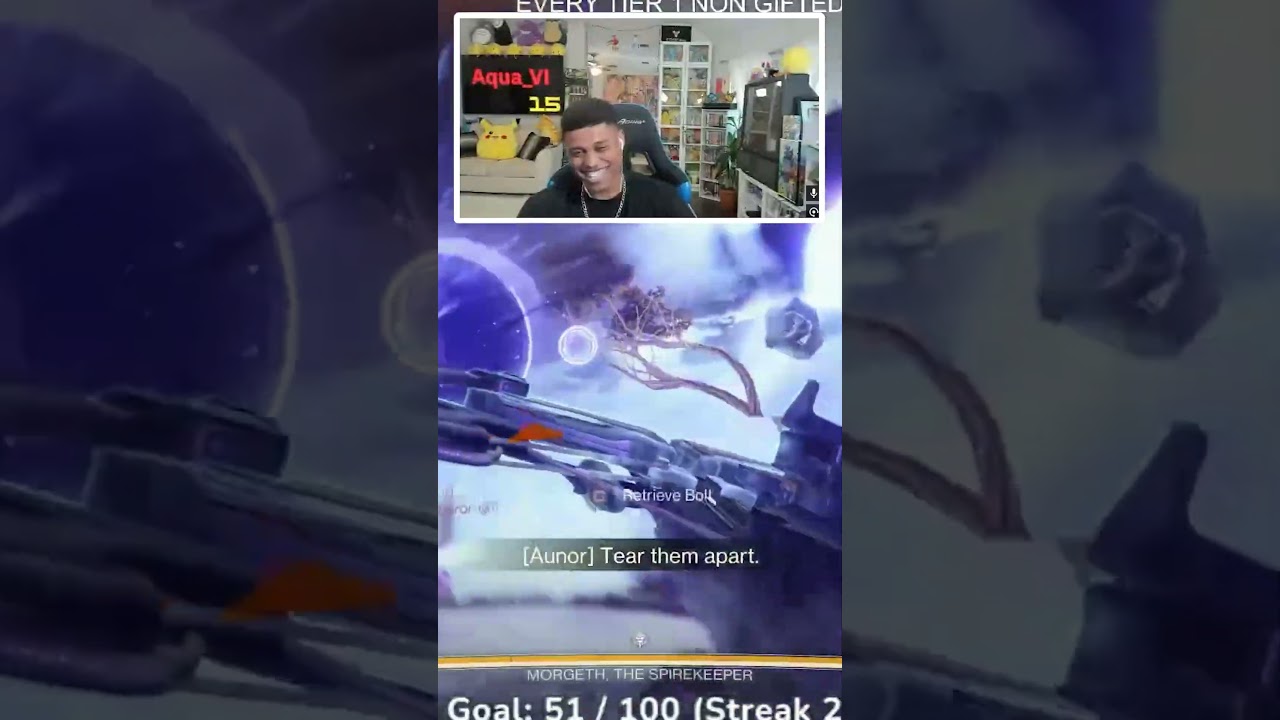 Bungie's BEST accident...
