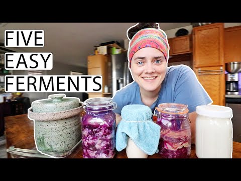 Ferment With Me | 5 Easy Ferments | Fermented Homestead
