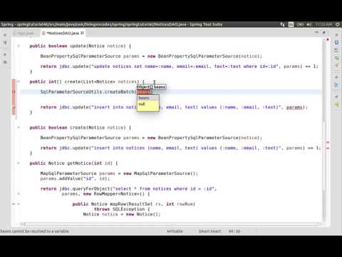 46 Batch Updates   Prepared Statements