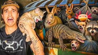 MrExotic Compilation | Shocking: I Found 23 LIVE Pets Hidden in a Pet Store Dumpster!