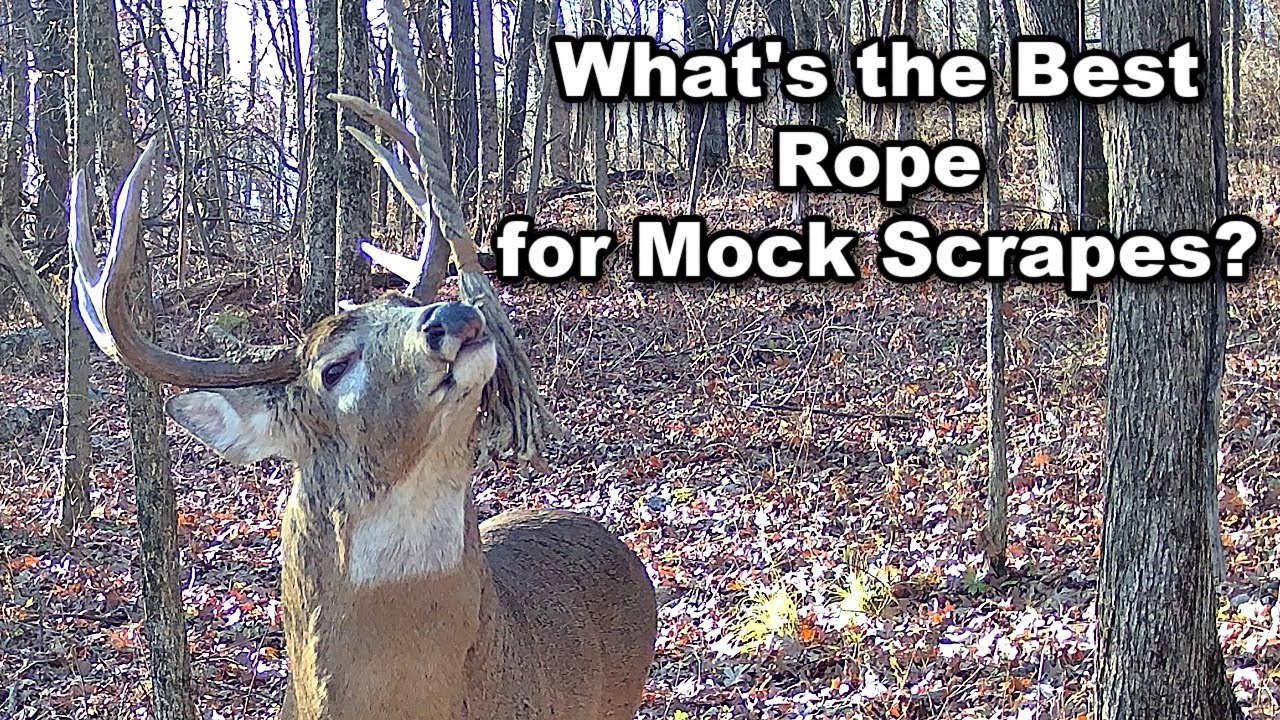 What's the Best Rope for Making Your Mock Scrapes?