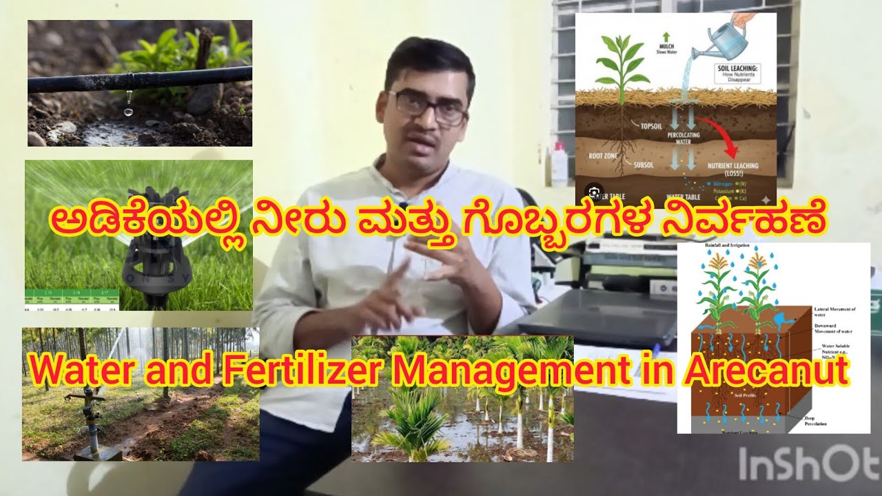 Water and Fertilizer Management in Arecanut| ಅಡಿಕೆಯಲ್ಲಿ ನೀರು ಮತ್ತು ಗೊಬ್ಬರಗಳ ನಿರ್ವಹಣೆ