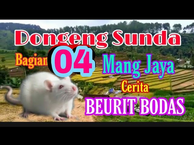 Dongeng Sunda Mang Jaya Cerita BEURIT BODAS bagian ke 4 class=