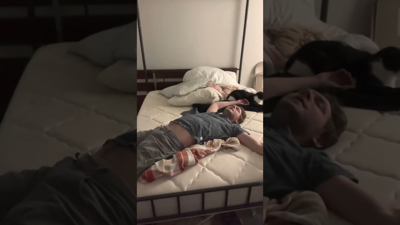 Corn star “Alexia Anders” is a racist and homophobe? The truth 