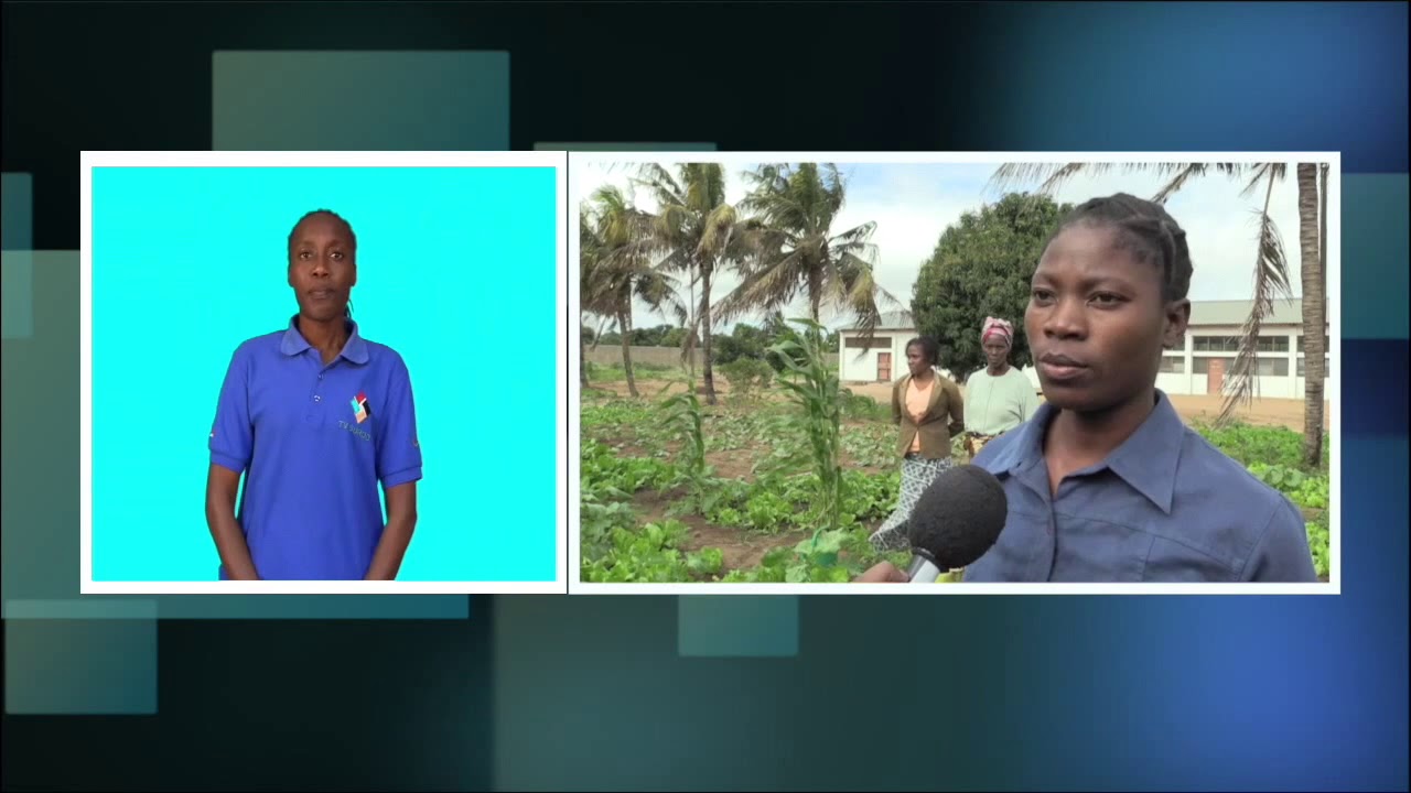 CONHEÇA O QUOTIDIANO DAS RECLUSAS NA CADEIA FEMININA DE NDLAVELA