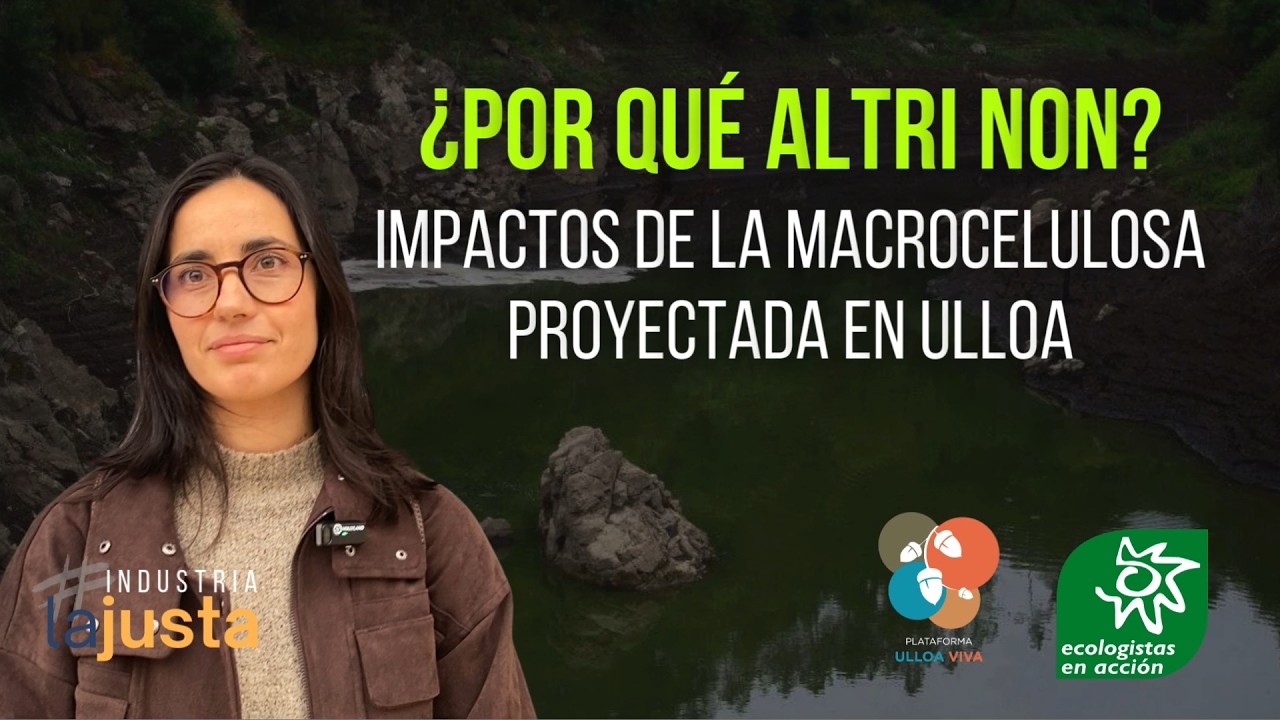 ¿Por qué Altri Non? Impactos de la macrocelulosa proyectada en Ulloa
