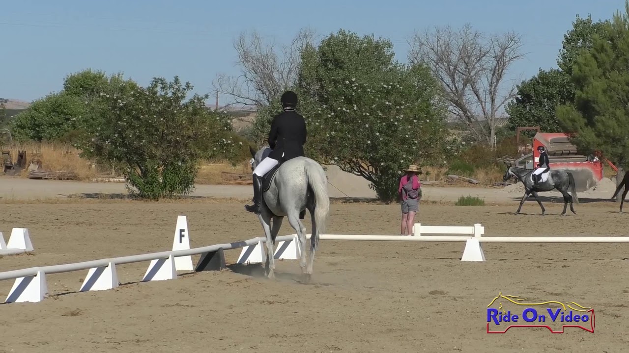 horseshoe bend 330D Lynn Groundwater on Morganouska Intro Dressage Twin Rivers Ranch Sept. 2019