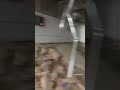 ¡ESTÁ TEMBLANDO! I Pánico, corridas y escombros en el aeropuerto internacional de Maiquetía
