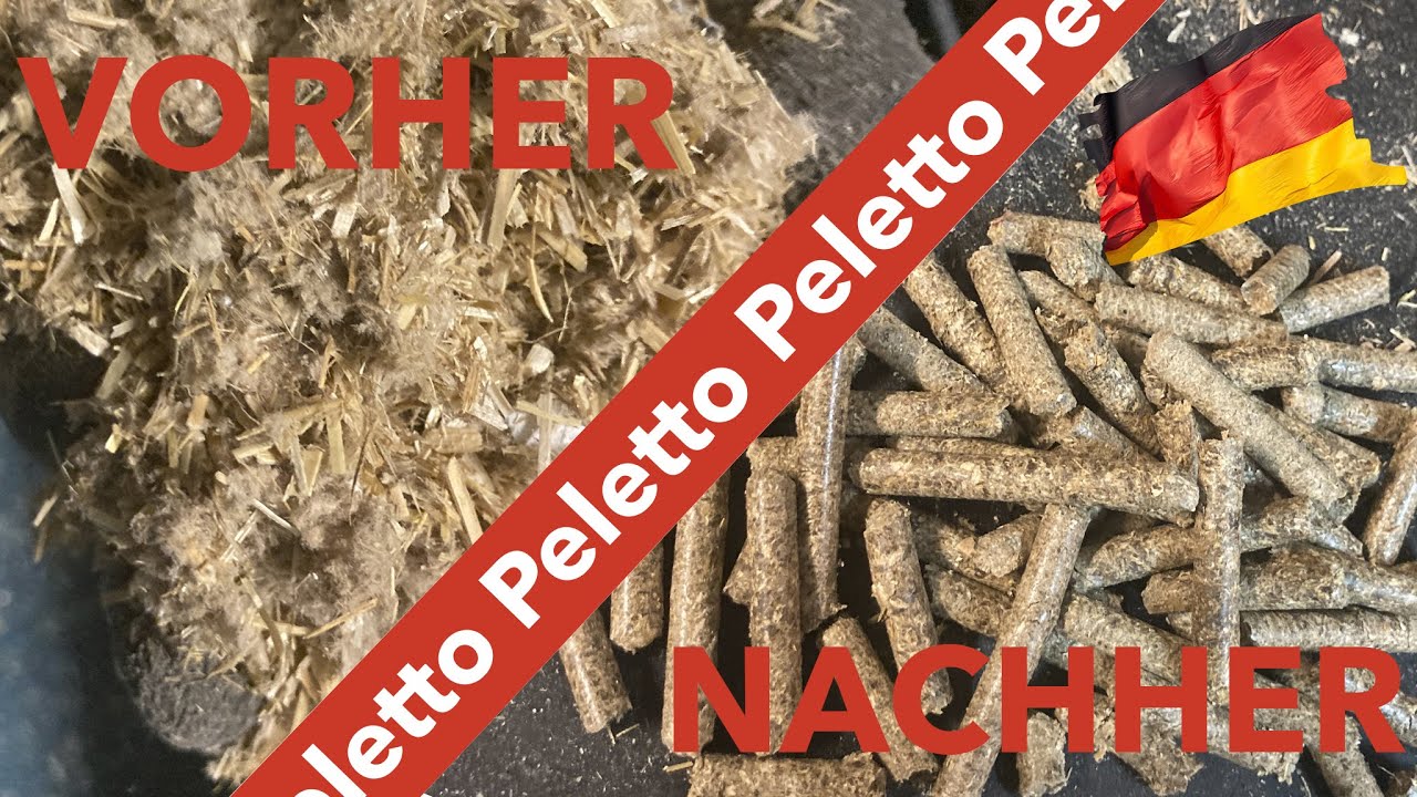 Die Pelletierung einer Mischung aus Karton und Stroh auf der LDG-3000 Pelletproduktionslinie