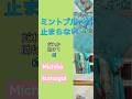I love mint green so much. Someone help me!　ミントグリーンが好きすぎる。だれか助けて！ #mint green #熊谷道子 #MichikoKumagai