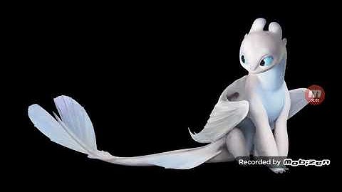 I will beat the shit out of anyone who says Light Fury is a dumb Dragon