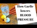 How garlic lowers blood pressure (MUST LEARN)