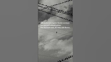 teaching you what others don