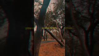 Anıl Emre Daldal - M. | Lyrical | Edit | Audio | Slowed | #viral #youtubeshorts