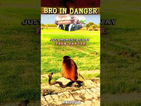 Moment Before Disaster 