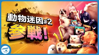 【全員参戦】動物迷因全員參戰 [Part.2😼] Animal meme