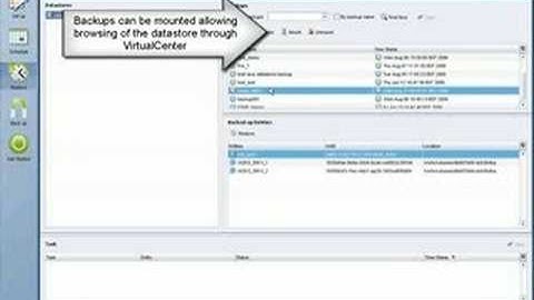 NetApp SnapManager for Virtual Infrastucture (SMVI)