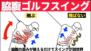 脇腹ゴルフスイング【永久保存版】ここが使えればゴルフは簡単!