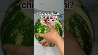 #melon