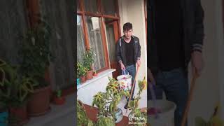 Beyaz Gölge Tiktokk