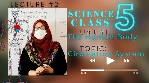 Science Class 5, Unit 1|The Human Body, Lecture 2|Circulatory System. ASHC.