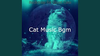 Modish Backdrops for Lonely Cats