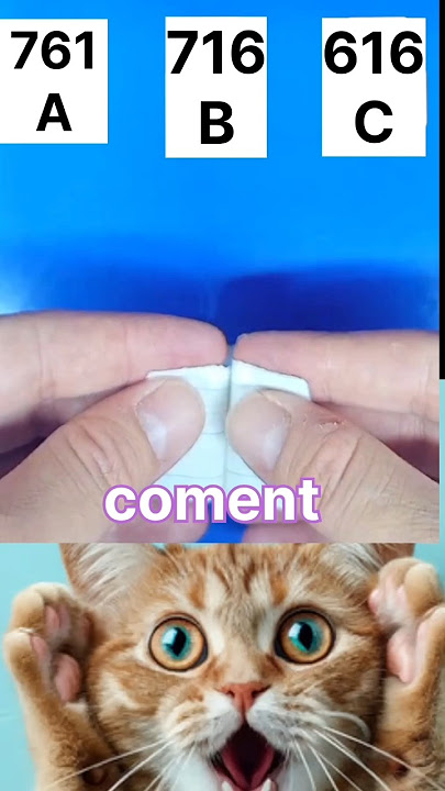 guess the number geniuses A761 B716 C616#shorts #cute #cat #youtubeshorts #catboy #meowmoe