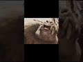 John Carter : monster vs human #shorts #shortsvideo #youtubeshorts #virelvideo #trending