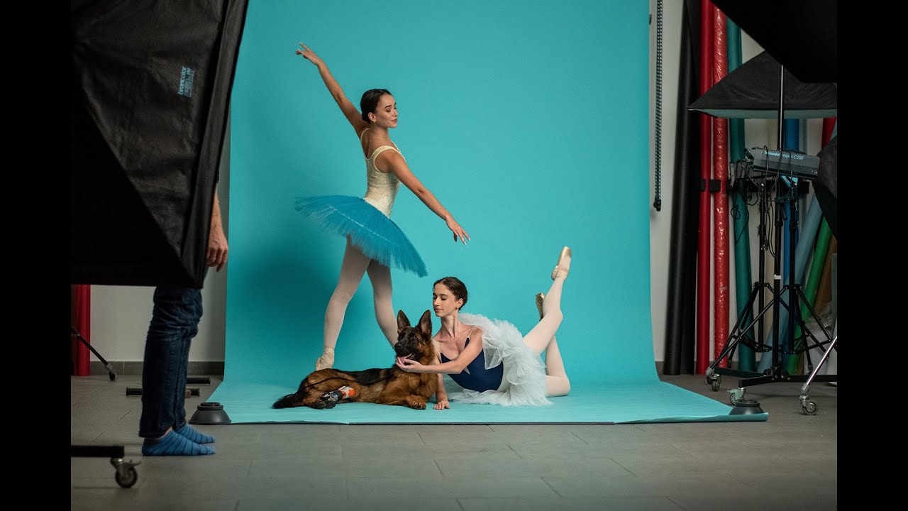 Árva kutyákon segítenek az OPERA balettművészei és -növendékeigyel.